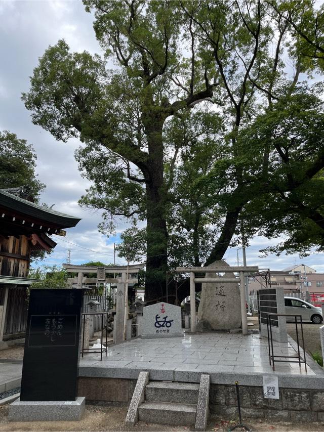 大阪府松原市北新町２−４−１１ 布忍神社の写真4