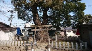 澁川神社の参拝記録(のぶちゃんさん)