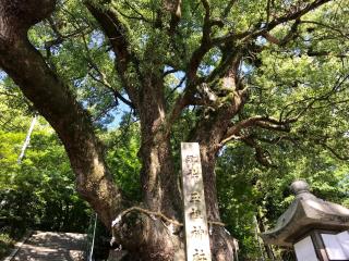 玉祖神社の参拝記録(じゃすてぃさん)