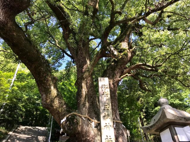 大阪府八尾市神立５−９３ 玉祖神社の写真2