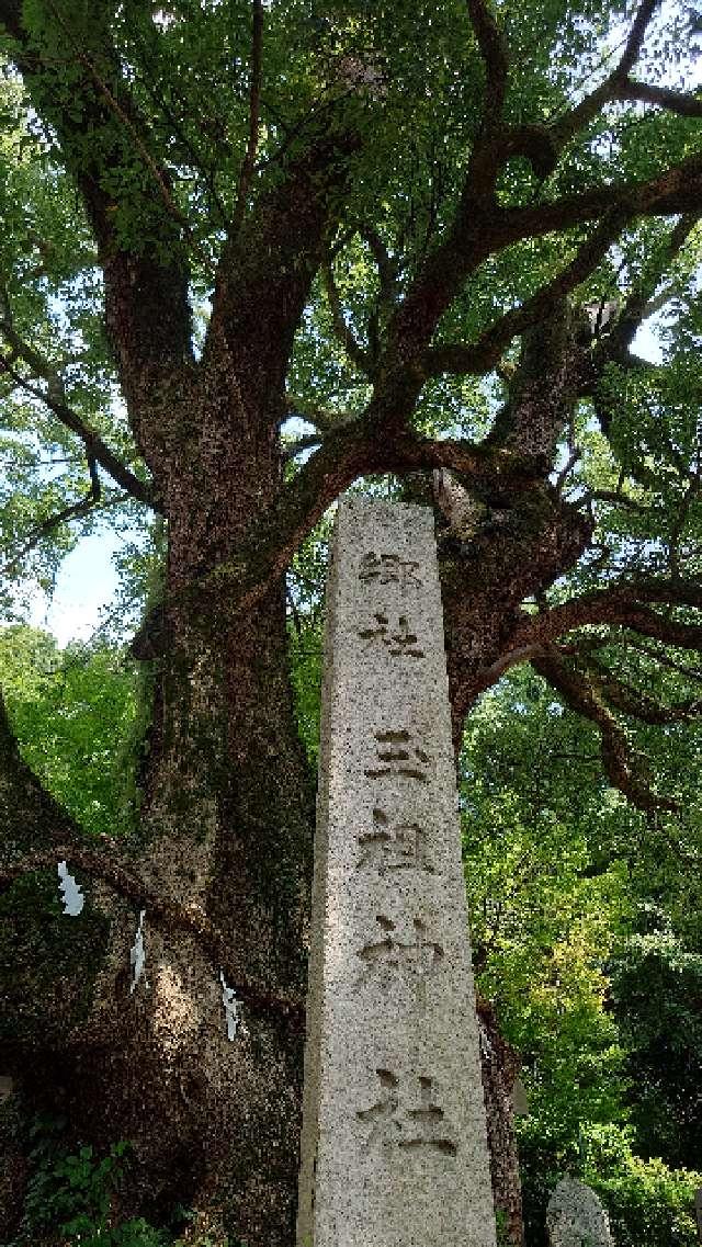 玉祖神社の参拝記録9