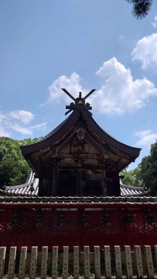 玉祖神社の参拝記録(金太郎さん)