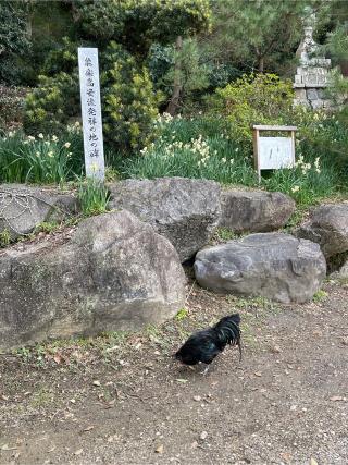 玉祖神社の参拝記録(ロト虎さん)