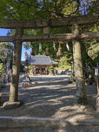 玉祖神社の参拝記録(たこやきさん)