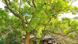 鐸比古鐸比賣神社の参拝記録(布袋大国さん)