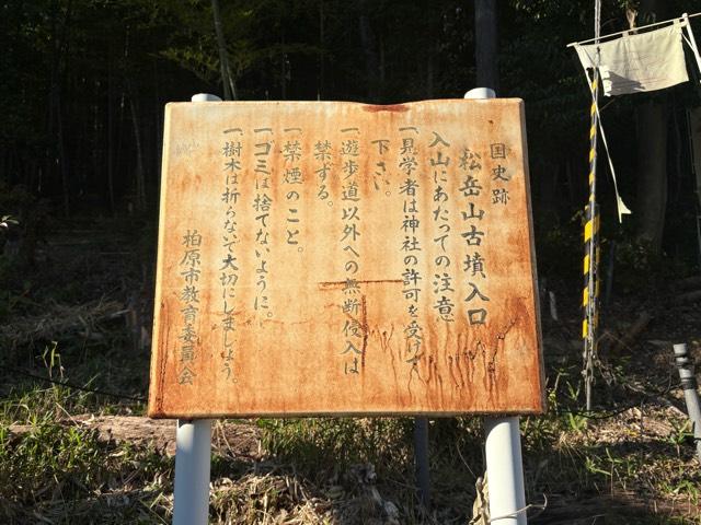 大阪府柏原市国分市場１−６−３５ 国分神社(杜本神社)の写真10