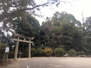 天湯川田神社の参拝記録(snow  cafeさん)