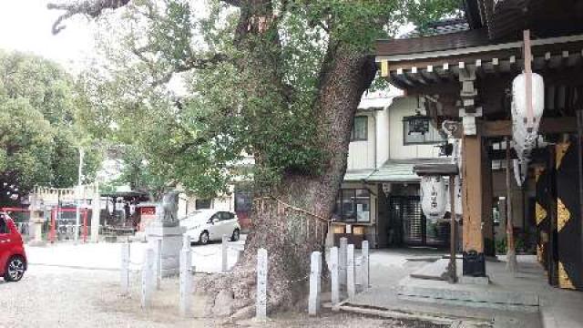 大阪府堺市堺区石津町1-15-21 石津神社の写真3