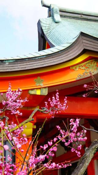 多治速比売神社(荒山の宮)の参拝記録(布袋大国さん)