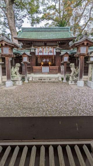 櫻井神社(上神谷八幡宮)の参拝記録(たこやきさん)