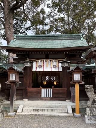 櫻井神社(上神谷八幡宮)の参拝記録(満次さん)