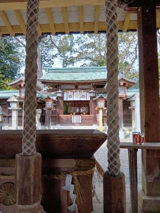 櫻井神社(上神谷八幡宮)の参拝記録(にるぼんさん)
