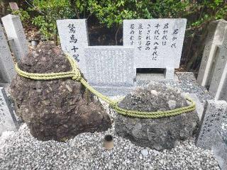 美多彌神社の参拝記録(さえさん)