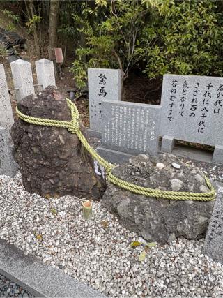 美多彌神社の参拝記録(満次さん)