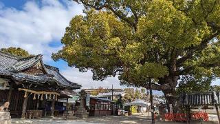 百舌鳥八幡宮の参拝記録(ななめコロッケさん)