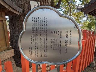 百舌鳥八幡宮の参拝記録(たこやきさん)
