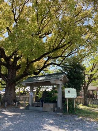 金岡神社の参拝記録(himariさん)