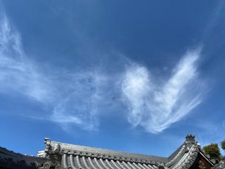 泉井上神社の参拝記録(明介さん)