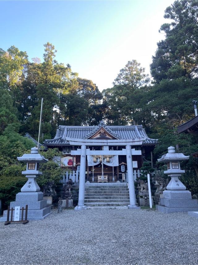 春日神社（池田）和泉三林の参拝記録3