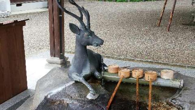 春日神社（池田）和泉三林の参拝記録10