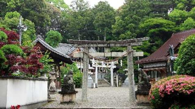 大阪府和泉市三林町５９１ 春日神社（池田）和泉三林の写真2