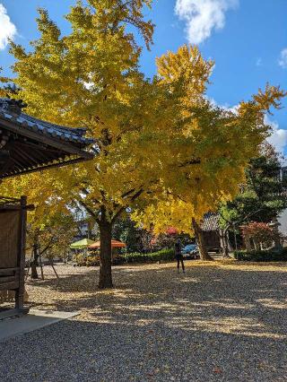 道明寺天満宮の参拝記録(たこやきさん)