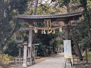 辛國神社の参拝記録(パスカルさん)