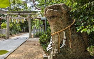 辛國神社の参拝記録(ななめコロッケさん)