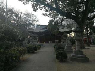 黒田神社の参拝記録(さくらじまでこんさん)