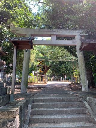 澤田八幡神社の参拝記録(tukoさん)