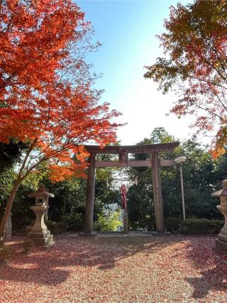 壺井八幡宮の参拝記録(ZIGZAGさん)