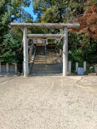 白鳥神社の参拝記録(監督まっちゃんさん)