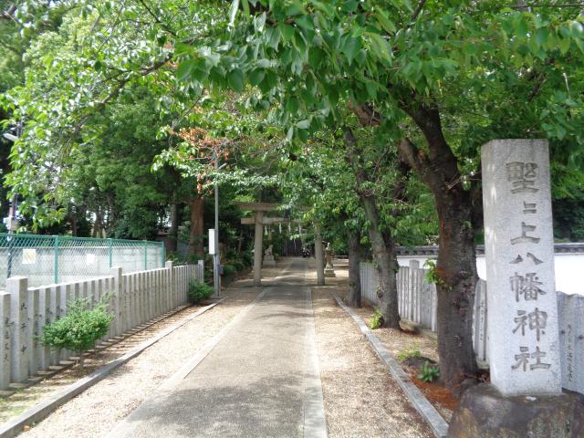 大阪府羽曳野市野々上６２２ 野々上八幡神社の写真1