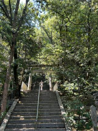 美具久留御魂神社の参拝記録(ハシバさん)