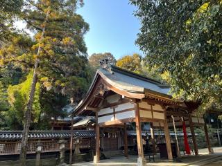 美具久留御魂神社の参拝記録(まきちゃんさん)