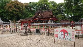錦織神社の参拝記録(のぶちゃんさん)