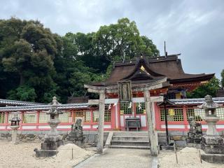 錦織神社の参拝記録(まきちゃんさん)