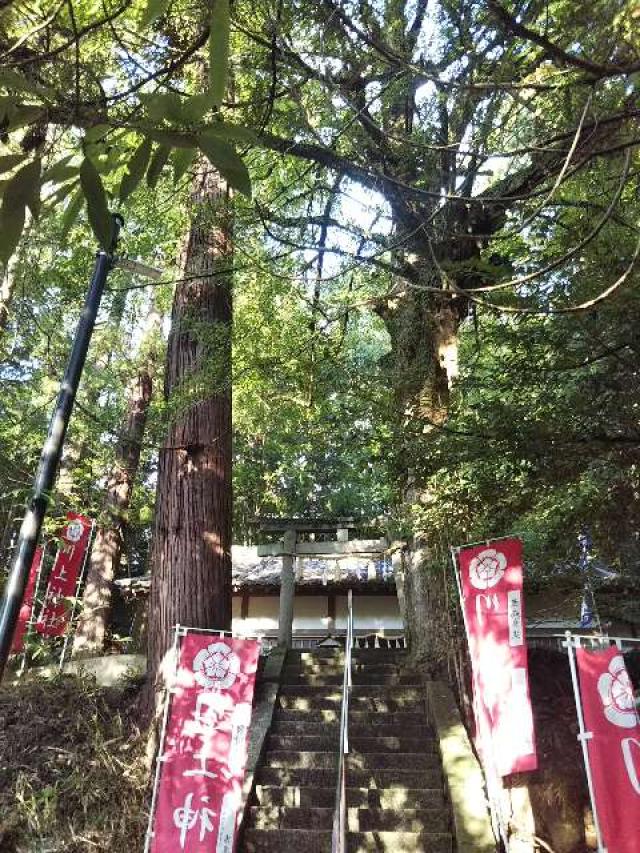 大阪府河内長野市鳩原７８９−１ 川上神社 (鳩原)の写真2