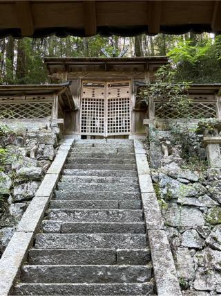 川上神社 (鳩原)の参拝記録(満次さん)