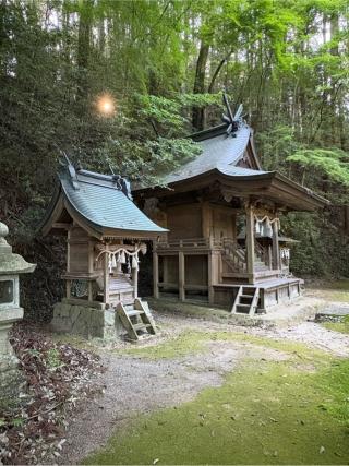 川上神社 (鳩原)の参拝記録(満次さん)