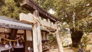 八幡神社 (流谷八幡宮)の参拝記録(すったもんださん)