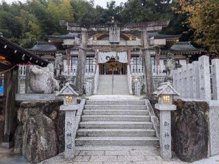 春日神社の参拝記録(きゃっぷさん)