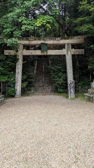 建水分神社の参拝記録(たこやきさん)
