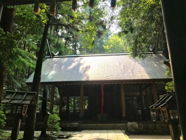 大阪府南河内郡千早赤阪村千早 千早神社の写真2