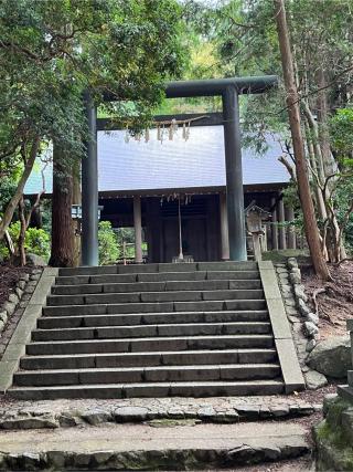 千早神社の参拝記録(あまぞんさん)