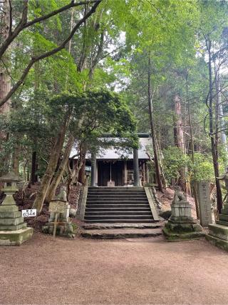 千早神社の参拝記録(mmかずやmmさん)
