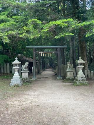 千早神社の参拝記録(mmかずやmmさん)