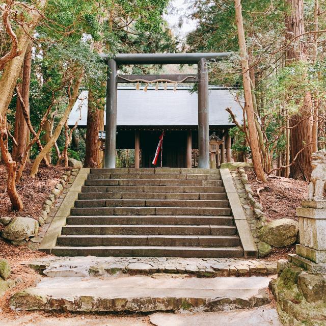 大阪府南河内郡千早赤阪村千早 千早神社の写真1