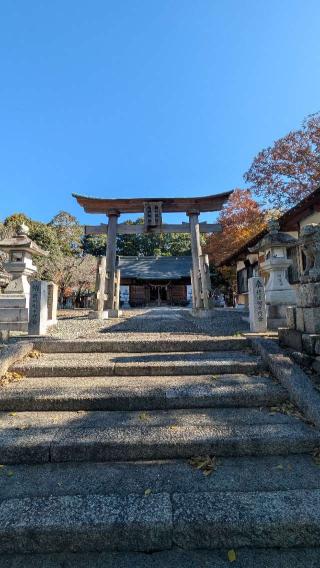 積川神社の参拝記録(たこやきさん)