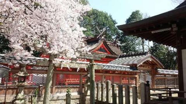 大阪府岸和田市積川町３５０ 積川神社の写真6